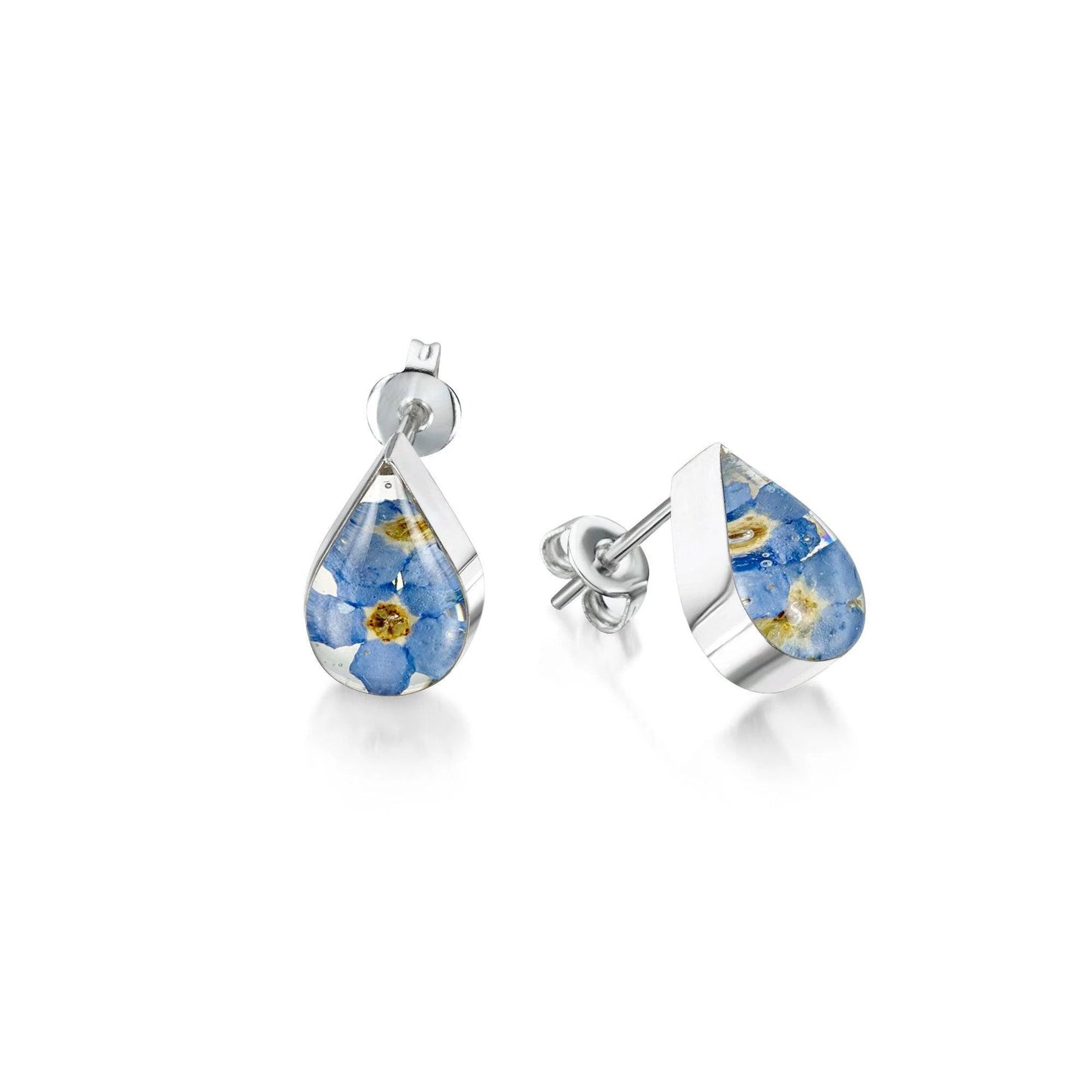 Sterling Silver Teardrop Stud Earrings with real forget-me-not flowers