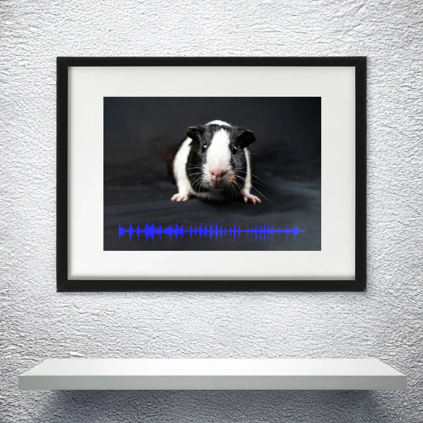 Pet memorial soundwave art print - guinea pig