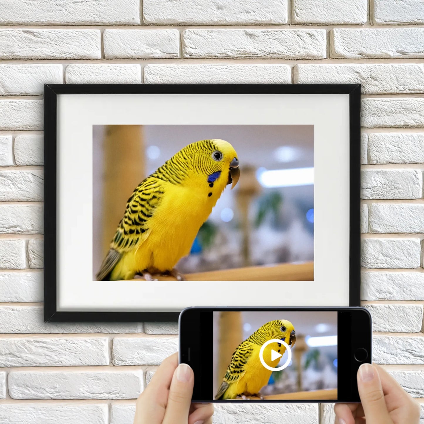 Bird interactive photo print