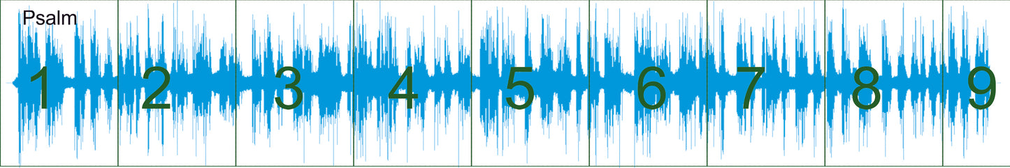 Voice Message Playable Soundwave Art Prints - Michelle