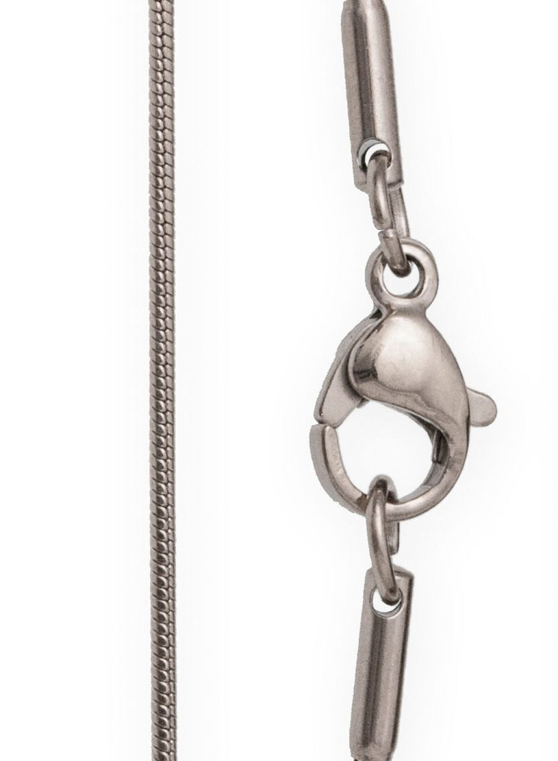 Stainless Steel Sabre Tooth Pendant with 20" snake chain and gift box