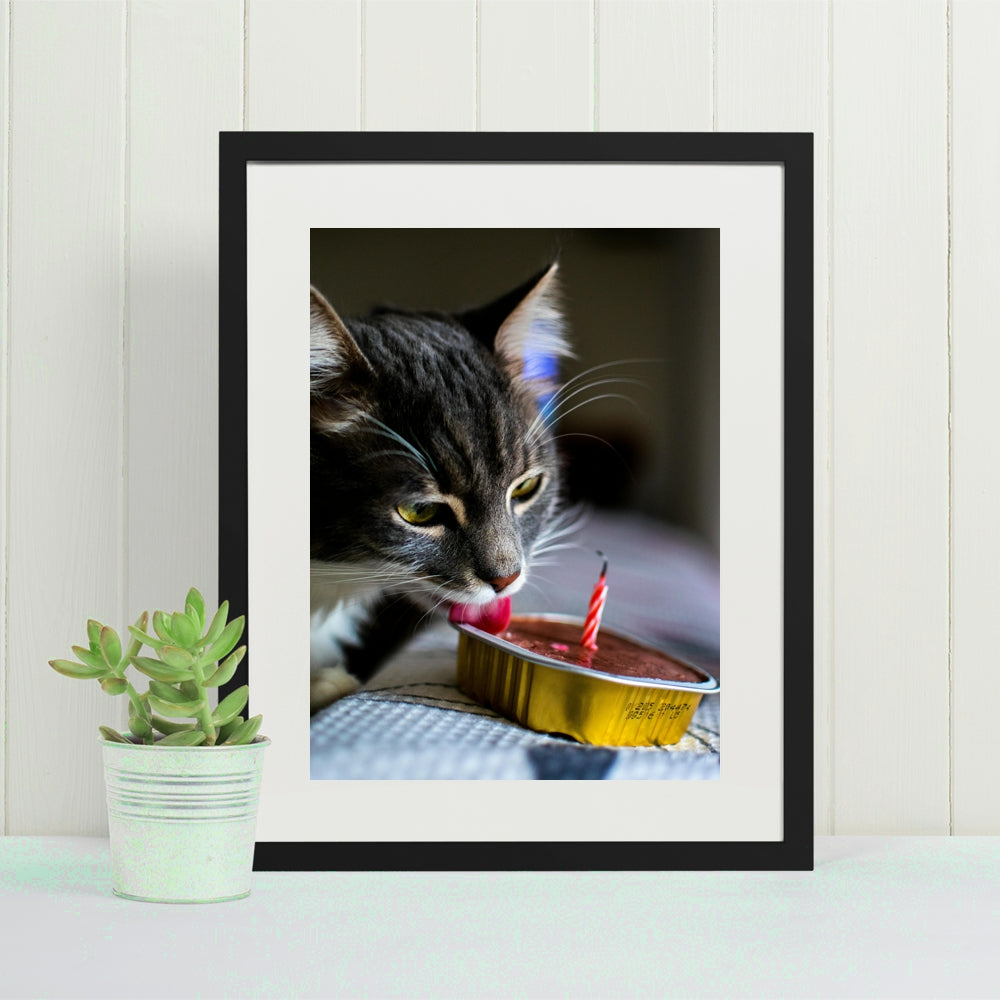 Birthday cat interactive photo print