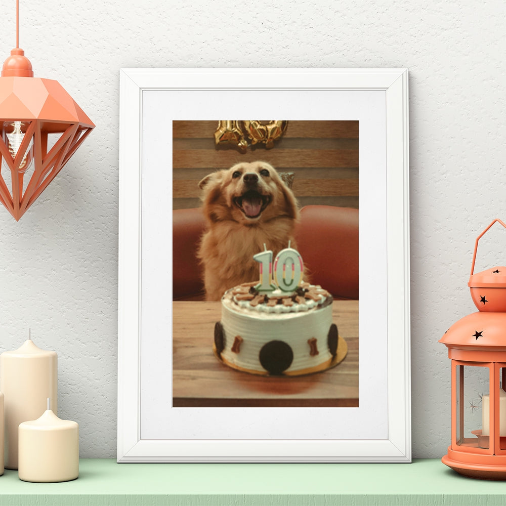 Birthday dog interactive photo print