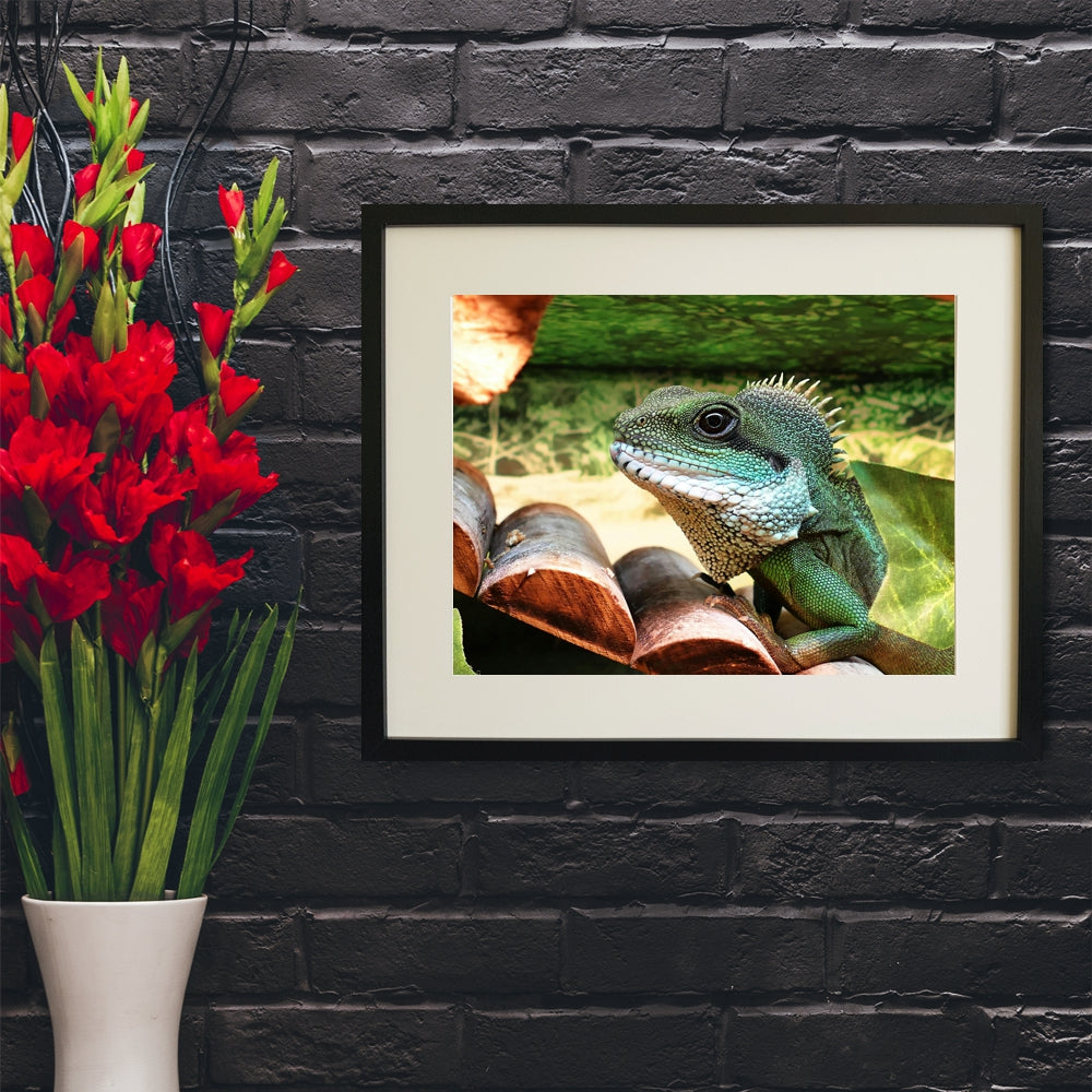 Birthday lizard interactive photo print