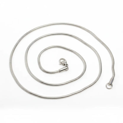 Stainless Steel Sabre Tooth Pendant with 20" snake chain and gift box